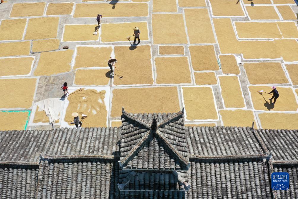 棋牌游戏签到送金